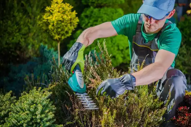 landscaping services Grosse Tete